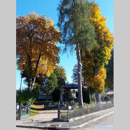 Maison Independ. 6 Personnes A 10 Mn De Gerardmer Granges-sur-Vologne Εξωτερικό φωτογραφία