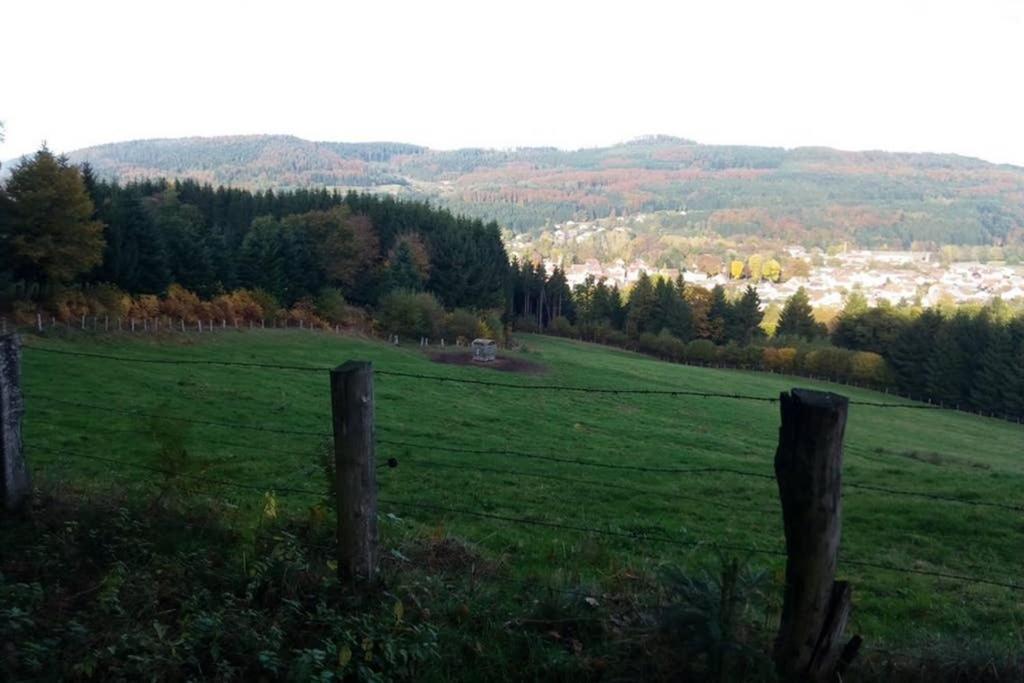 Maison Independ. 6 Personnes A 10 Mn De Gerardmer Granges-sur-Vologne Εξωτερικό φωτογραφία