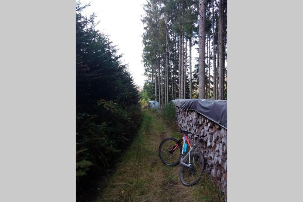 Maison Independ. 6 Personnes A 10 Mn De Gerardmer Granges-sur-Vologne Εξωτερικό φωτογραφία
